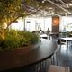 Illustration for article titled This Japanese (Social) Gaming Powerhouse Has Nice Digs